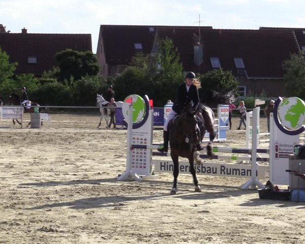 Reitturnier Ascheberg 2020