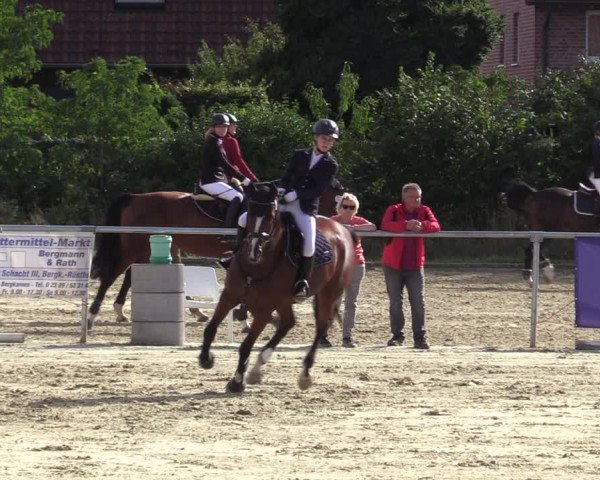 Reitturnier Ascheberg 2020