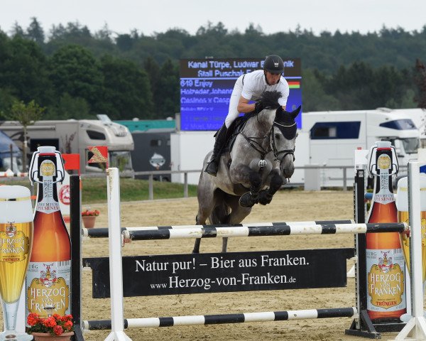 jumper Enjoy (KWPN (Royal Dutch Sporthorse), 2003, from Casinos)