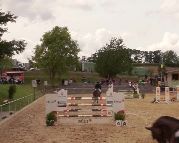 Reitturnier Duderstadt 2020
