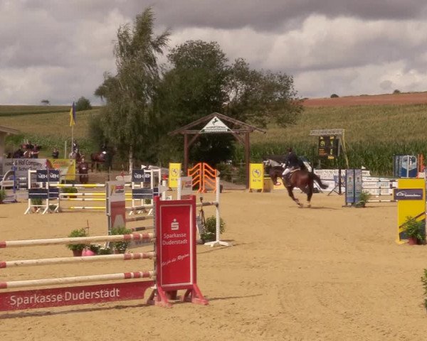 Reitturnier Duderstadt 2020