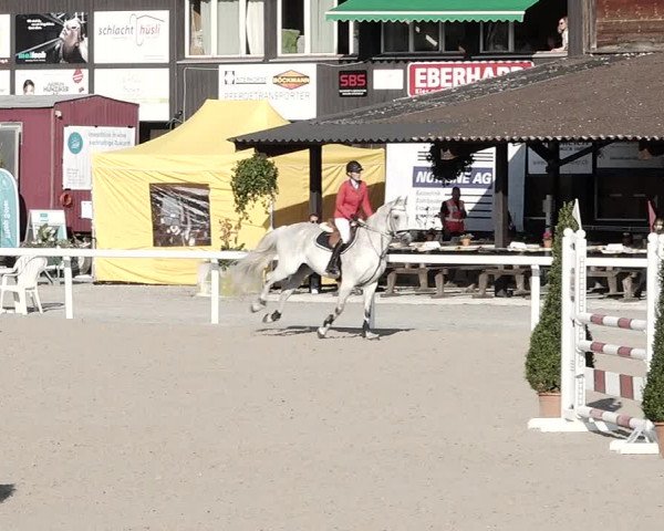 Pferdesporttage Bülach 2021
