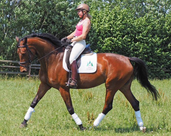 horse Elfenflora (Trakehner, 2010, from Rastenberg)