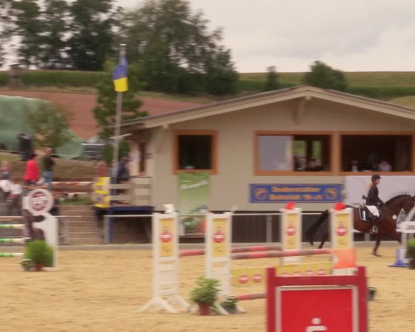 Reitturnier Duderstadt 2020