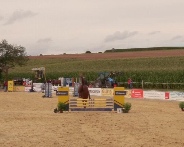 Reitturnier Duderstadt 2020