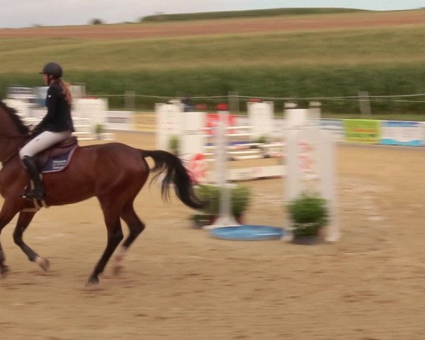 Reitturnier Duderstadt 2020