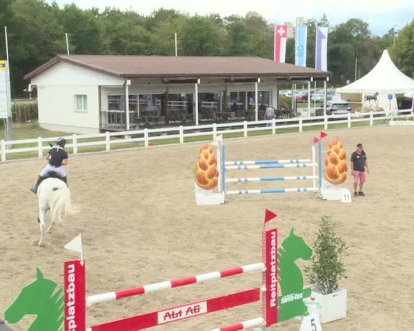 Reitturnier Hüntwangen 2020