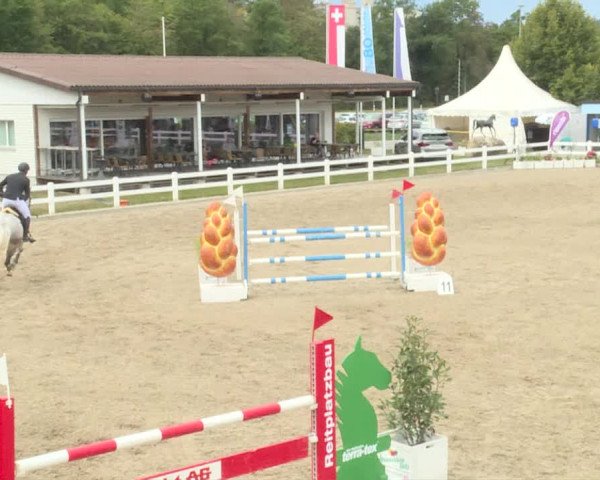 Reitturnier Hüntwangen 2020