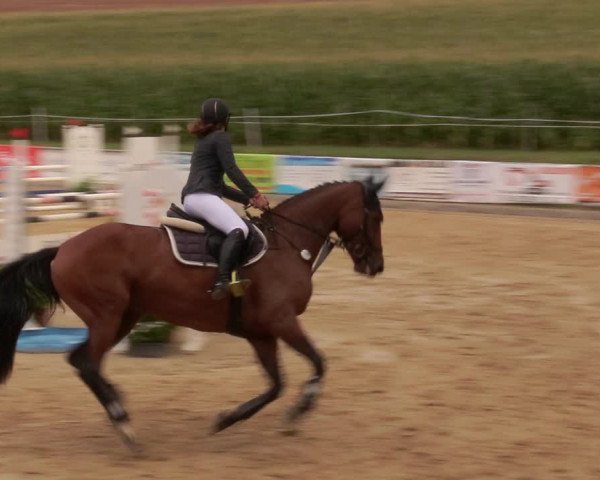 Reitturnier Duderstadt 2020
