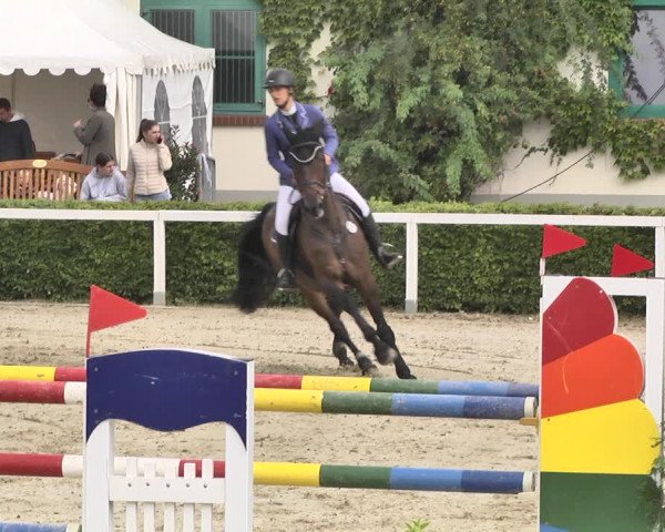 Reitturnier St.Wendel, Gestüt Welvert 2020