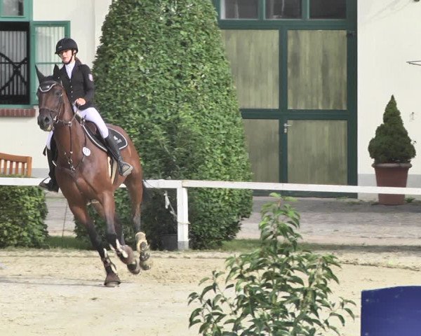 Reitturnier St.Wendel, Gestüt Welvert 2020