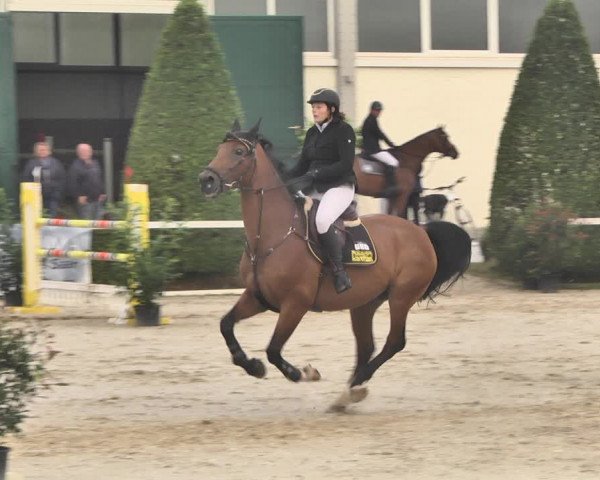 Reitturnier St.Wendel, Gestüt Welvert 2020