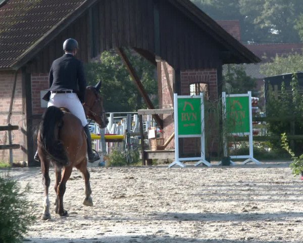 Reitturnier Münster-Nienberge 2020