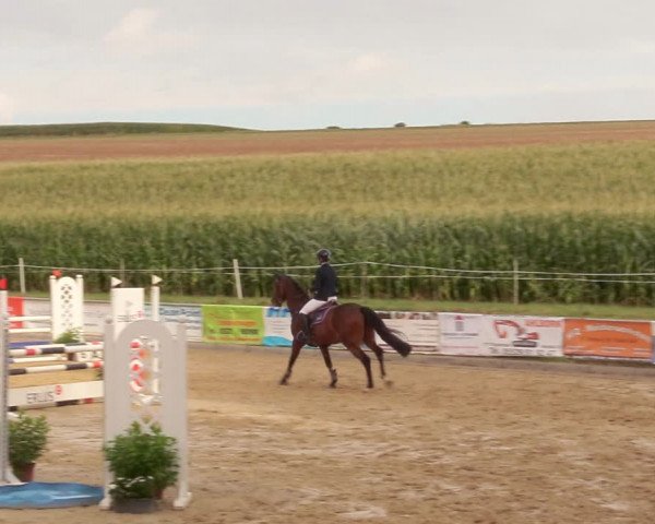 Reitturnier Duderstadt 2020