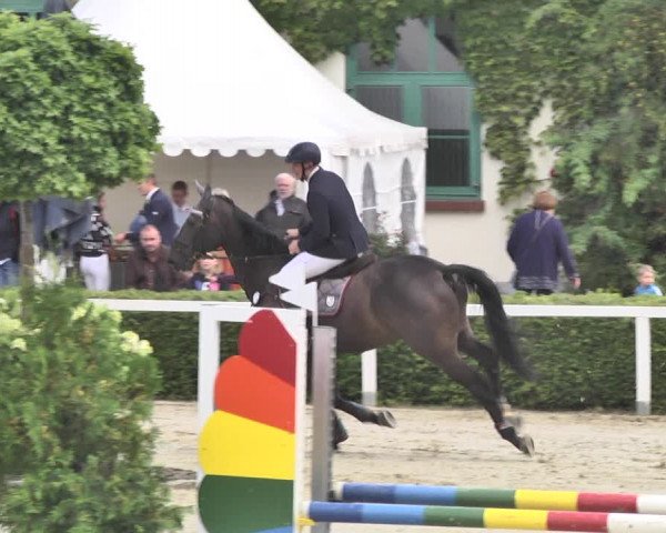Reitturnier St.Wendel, Gestüt Welvert 2020