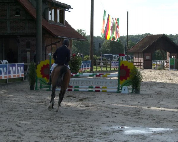 Reitturnier Münster-Nienberge 2020