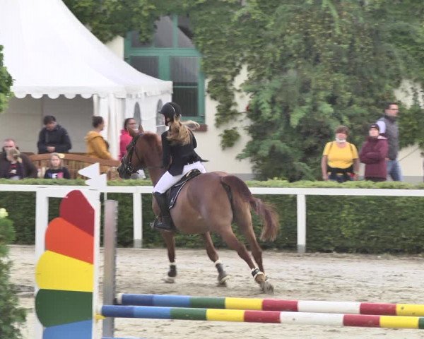 Reitturnier St.Wendel, Gestüt Welvert 2020