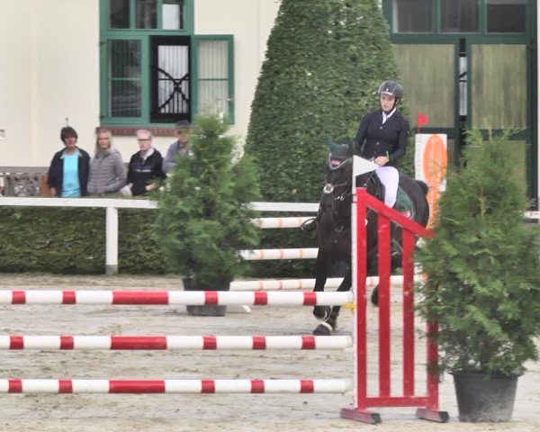 Reitturnier St.Wendel, Gestüt Welvert 2020