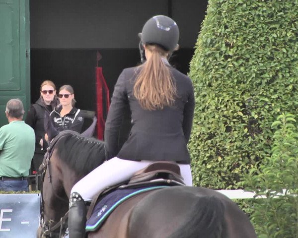 Reitturnier St.Wendel, Gestüt Welvert 2020