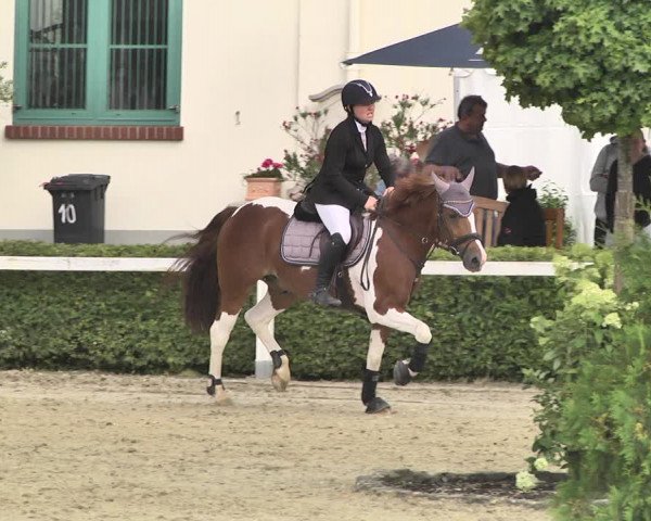 Reitturnier St.Wendel, Gestüt Welvert 2020