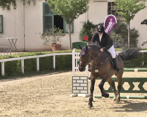 Reitturnier St.Wendel, Gestüt Welvert 2020
