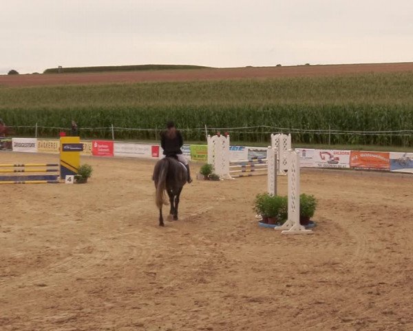 Reitturnier Duderstadt 2020