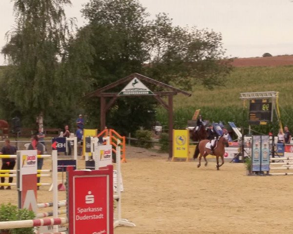 Reitturnier Duderstadt 2020