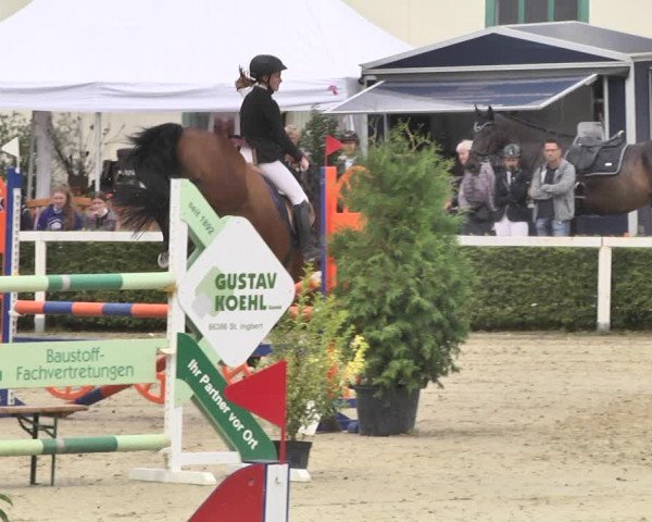Reitturnier St.Wendel, Gestüt Welvert 2020