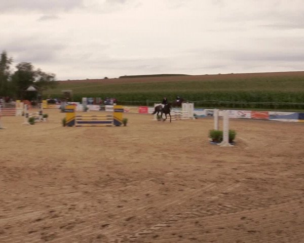 Reitturnier Duderstadt 2020