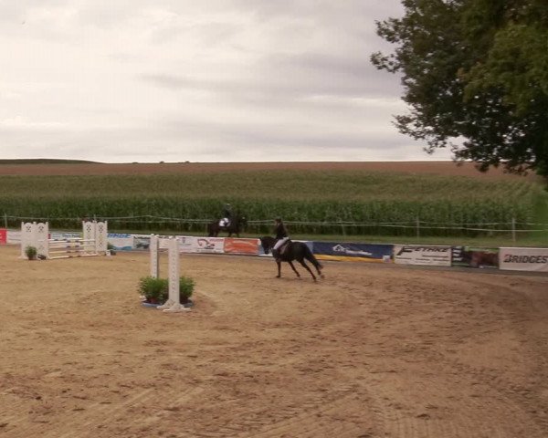 Reitturnier Duderstadt 2020