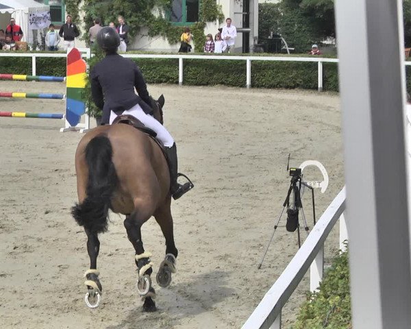 Reitturnier St.Wendel, Gestüt Welvert 2020