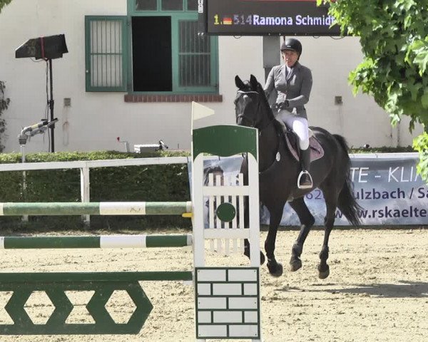 Reitturnier St.Wendel, Gestüt Welvert 2020