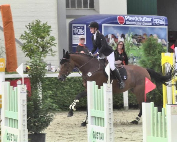 Reitturnier St.Wendel, Gestüt Welvert 2020