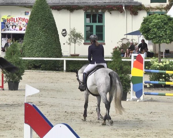 Reitturnier St.Wendel, Gestüt Welvert 2020