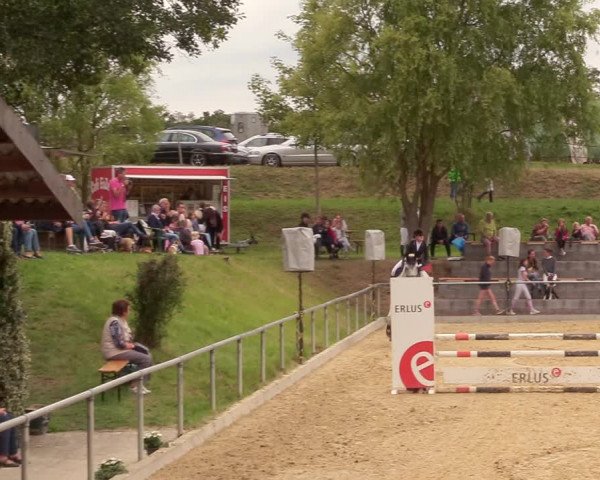 Reitturnier Duderstadt 2020