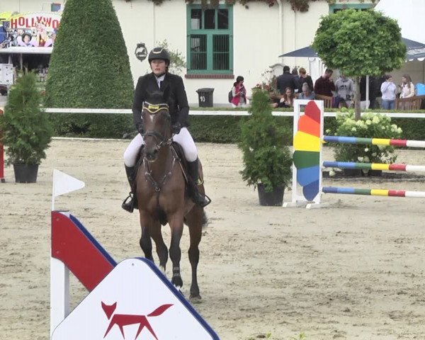 Reitturnier St.Wendel, Gestüt Welvert 2020