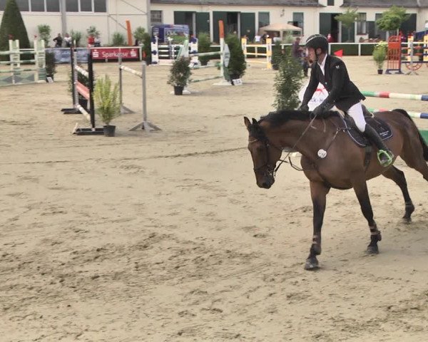 Reitturnier St.Wendel, Gestüt Welvert 2020