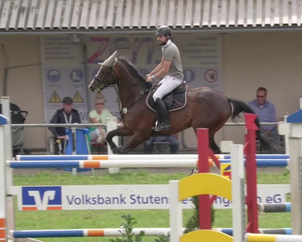 Reitturnier Stutensee-Spöck 2020
