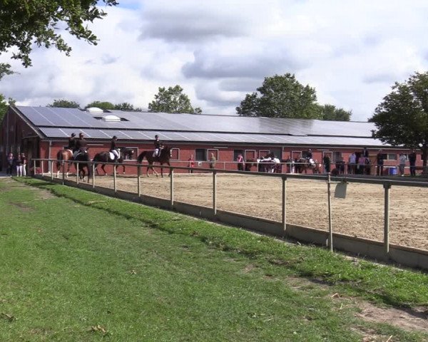 Reitturnier Ascheberg 2020