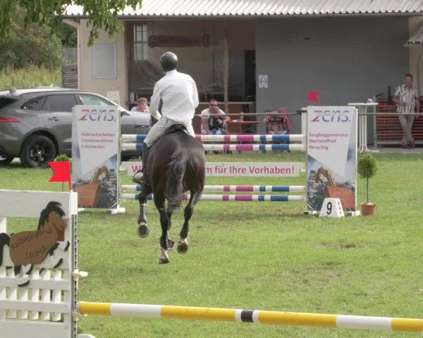 Reitturnier Stutensee-Spöck 2020