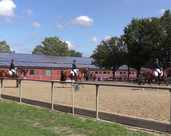 Reitturnier Ascheberg 2020