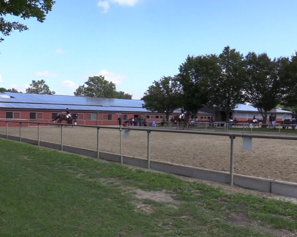 Reitturnier Ascheberg 2020