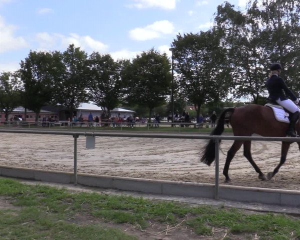 Reitturnier Ascheberg 2020