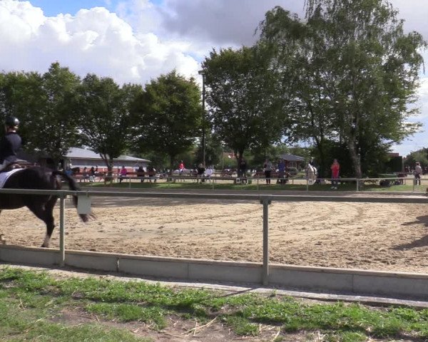 Reitturnier Ascheberg 2020