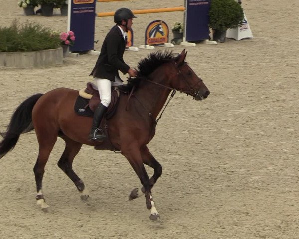 GOLDLEAGUE Lier - CS N 6323 - Azelhof