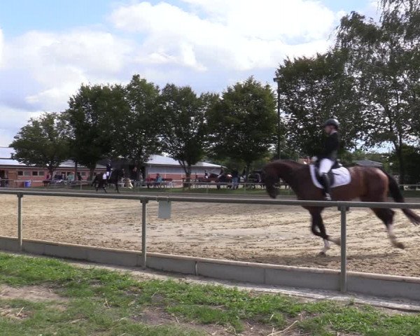 Reitturnier Ascheberg 2020