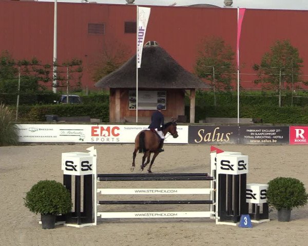 GOLDLEAGUE Lier - CS N 6323 - Azelhof
