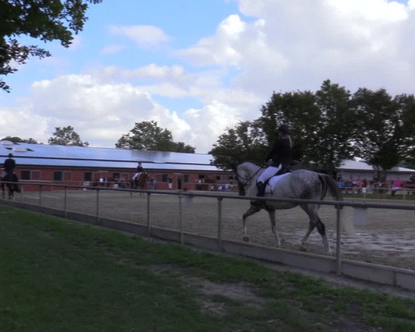 Reitturnier Ascheberg 2020