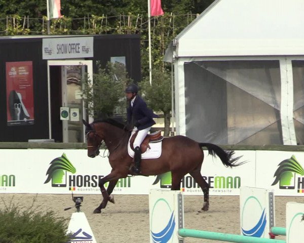 GOLDLEAGUE Lier - CS N 6323 - Azelhof