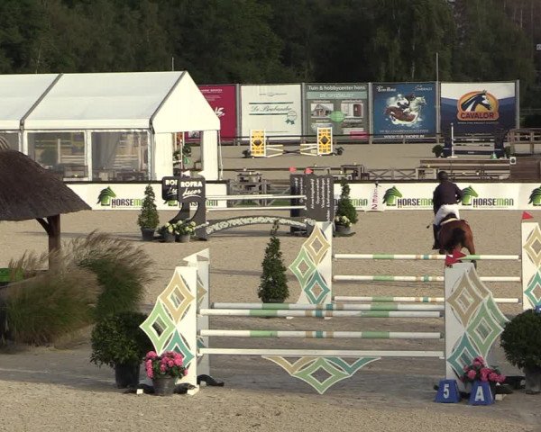GOLDLEAGUE Lier - CS N 6323 - Azelhof